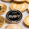 Exploring the Diverse Coin Selection on Bybit: A Trader’s Comprehensive Handbook